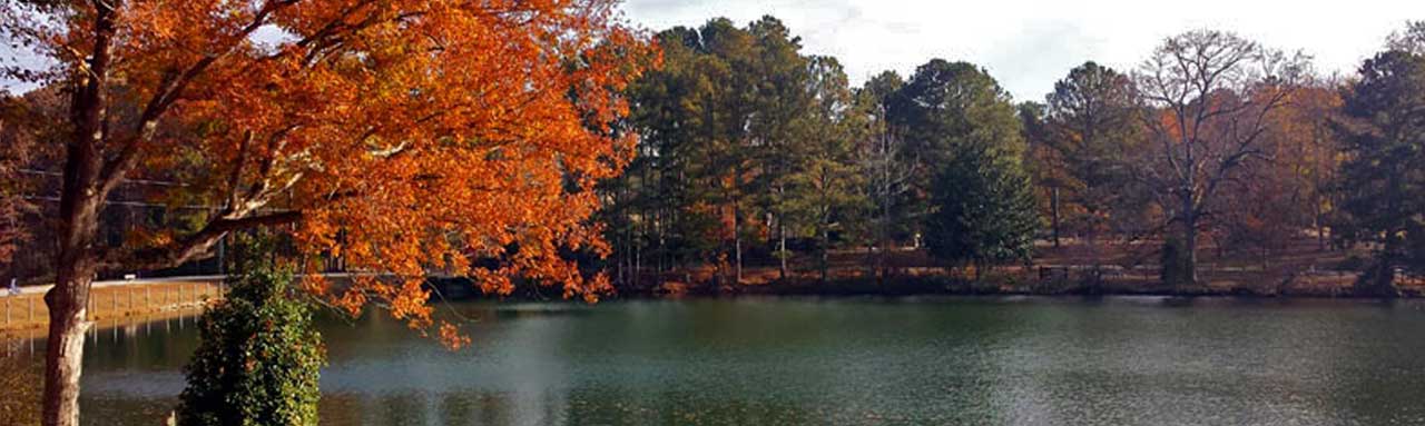 Fall At Sims Lake Park